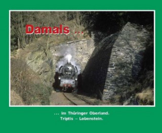 Kniha Damals 4 Andreas W. Petrak
