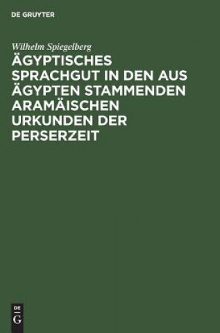 Buch AEgyptisches Sprachgut in den aus AEgypten stammenden aramaischen Urkunden der Perserzeit Wilhelm Spiegelberg