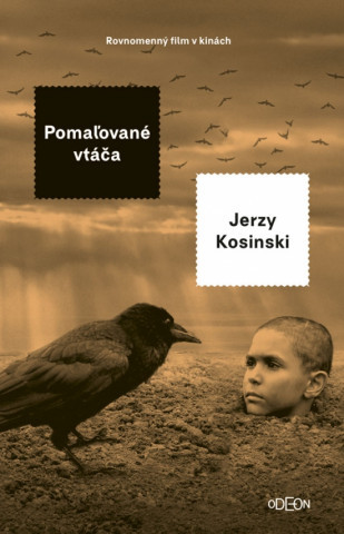 Kniha Pomaľované vtáča Kosinski Jerzy