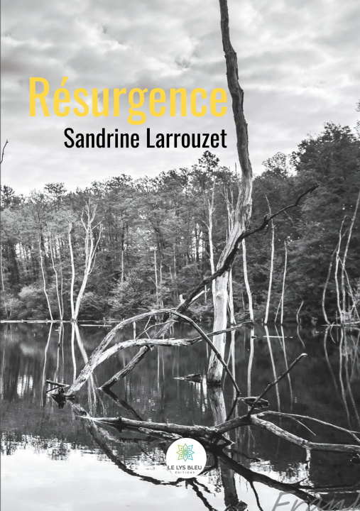 Knjiga Résurgence Sandrine Larrouzet