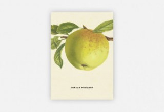 Kniha An Apple a Day 2020 - Postkartenset 