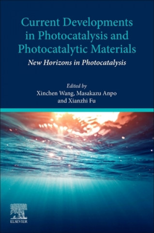 Kniha Current Developments in Photocatalysis and Photocatalytic Materials Xinchen Wang