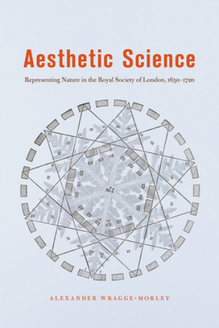 Kniha Aesthetic Science Alexander Wragge-Morley