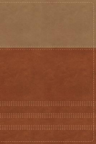 Kniha NIV, Biblical Theology Study Bible, Imitation Leather, Tan/Brown, Indexed, Comfort Print: Follow God's Redemptive Plan as It Unfolds Throughout Script D. A. Carson