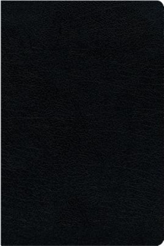 Carte NIV, Biblical Theology Study Bible, Bonded Leather, Black, Indexed, Comfort Print: Follow God's Redemptive Plan as It Unfolds Throughout Scripture D. A. Carson