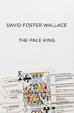 Könyv The Pale King: An Unfinished Novel David Foster Wallace