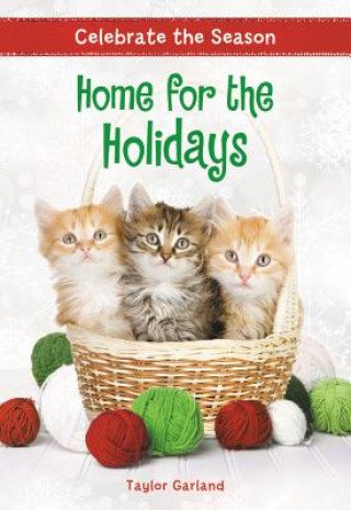 Carte Celebrate the Season: Home for the Holidays Taylor Garland