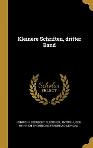 Carte Kleinere Schriften, Dritter Band Heinrich Leberecht Fleischer