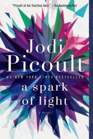 Book Spark of Light Jodi Picoult