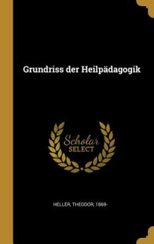 Knjiga Grundriss Der Heilpädagogik Theodor Heller