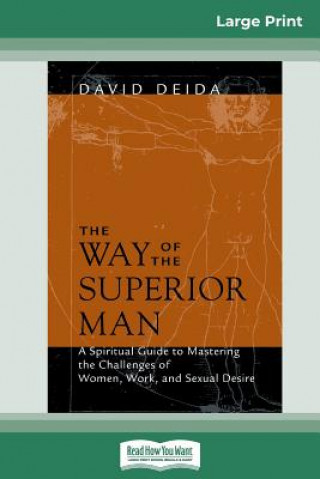 Kniha Way of the Superior Man (16pt Large Print Edition) David Deida
