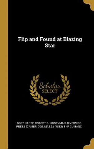 Kniha Flip and Found at Blazing Star Bret Harte