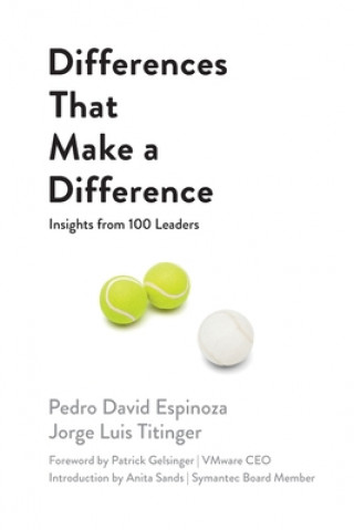 Buch Differences That Make A Difference Pedro David Espinoza
