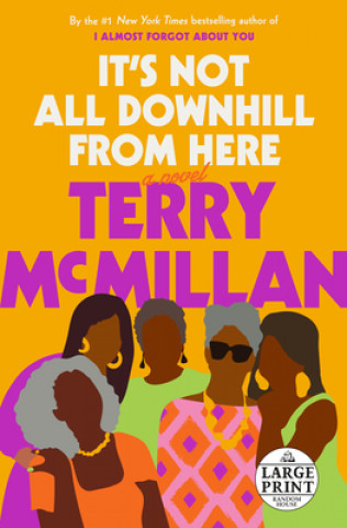 Carte It's Not All Downhill from Here Terry Mcmillan