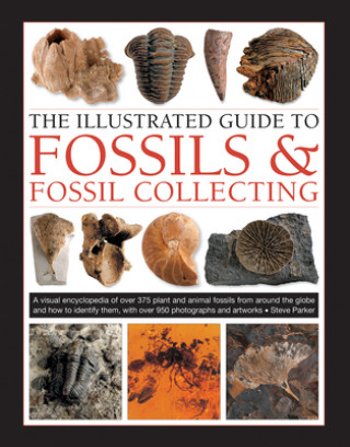 Könyv Fossils & Fossil Collecting, The Illustrated Guide to Steve Parker