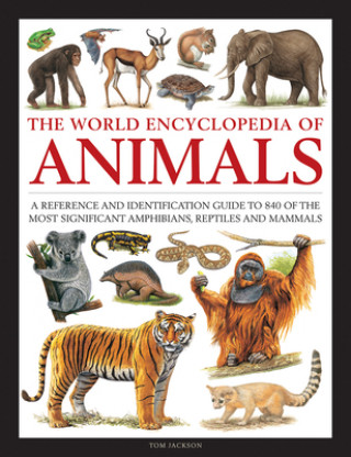 Könyv Animals, The World Encyclopedia of Tom Jackson