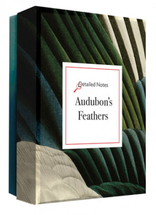 Hra/Hračka Audubon's Feathers (a Detailed Notes Notecard Box) Editors of Abbeville Press