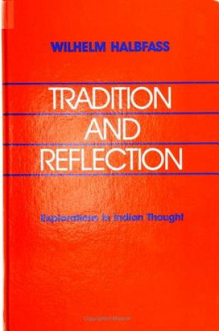 Kniha Tradition and Reflection: Explorations in Indian Thought Wilhelm Halbfass