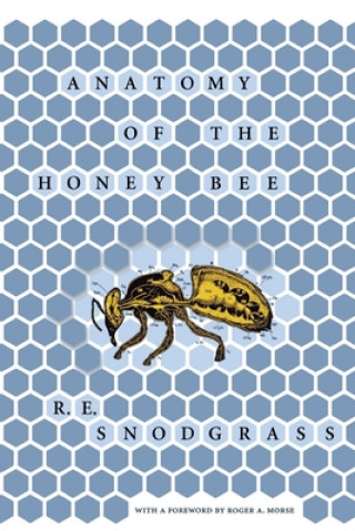 Book Anatomy of the Honey Bee R. E. Snodgrass