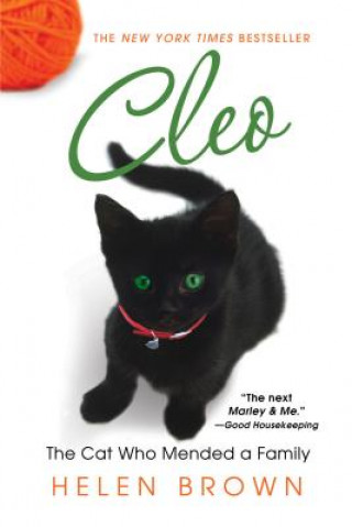 Kniha Cleo: The Cat Who Mended a Family Helen Brown
