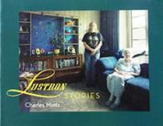 Knjiga Lustron Stories Charles Mintz