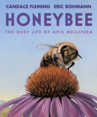 Kniha Honeybee Candace Fleming