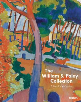 Kniha The William S. Paley Collection William Rubin