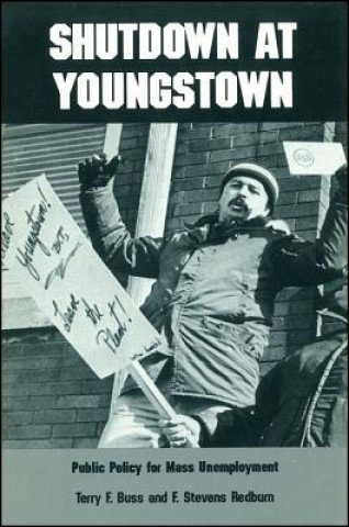 Kniha Shutdown at Youngstown: Public Policy for Mass Unemployment Terry F. Buss