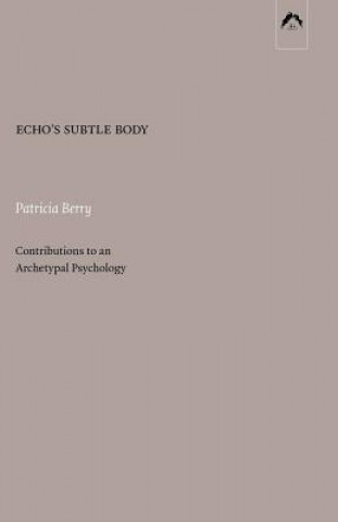 Kniha Echo's Subtle Body Patricia Berry