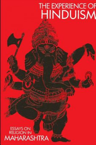 Könyv The Experience of Hinduism: Essays on Religion in Maharashtra Eleanor Zelliot