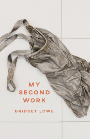 Knjiga My Second Work Bridget Lowe