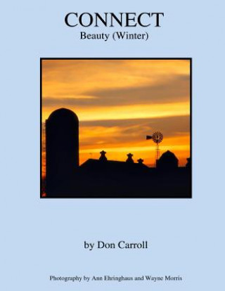 Kniha Connect: Beauty (Winter) Don Carroll