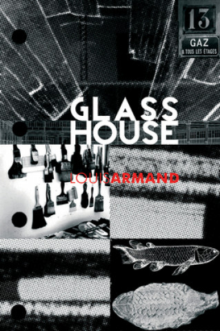 Kniha GlassHouse Louis Armand