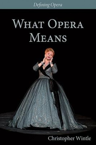 Книга What Opera Means: Categories and Case-Studies Christopher Wintle