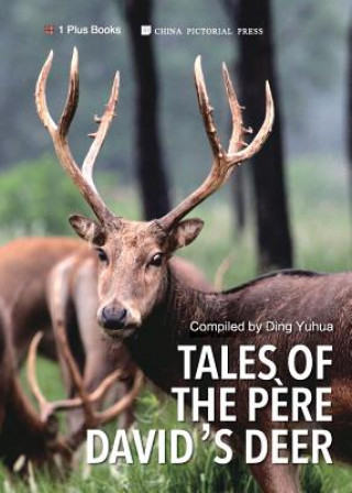 Kniha Tales of the P?re David's Deer Ding Yuhua