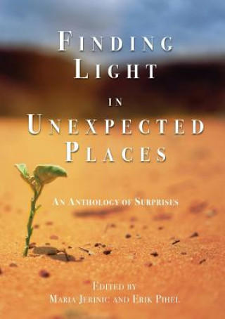 Книга Finding Light in Unexpected Places Erik Pihel