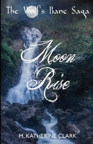 Boek Moon Rise M. Katherine Clark