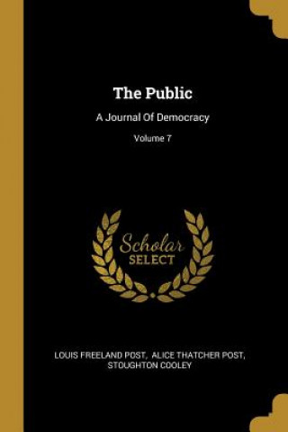 Carte The Public: A Journal Of Democracy; Volume 7 Louis Freeland Post