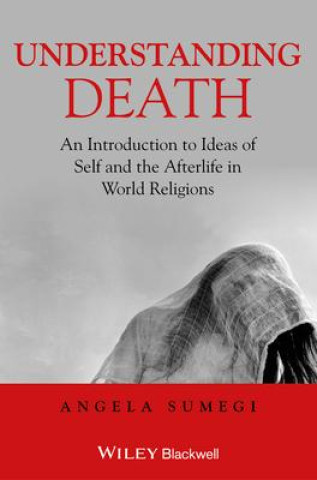 Carte Understanding Death: An Introduction to Ideas of Self and the Afterlife in World Religions Angela Sumegi
