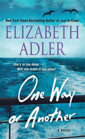 Boek One Way or Another Elizabeth Adler