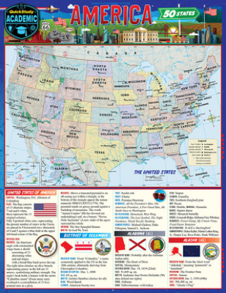 Kniha America - The 50 States David Head