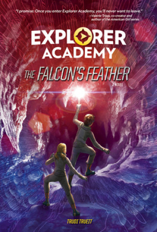 Книга Falcon's Feather Book 2 Trudi Trueit