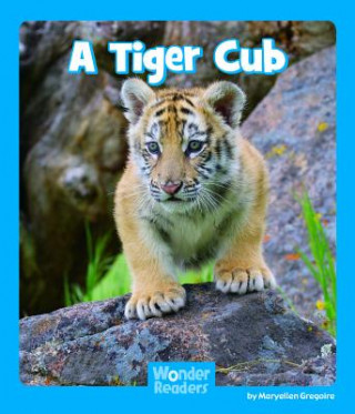 Knjiga A Tiger Cub Maryellen Gregoire