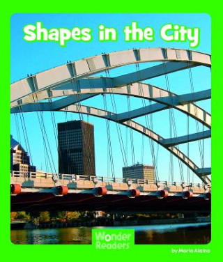 Kniha Shapes in the City Maria Alaina