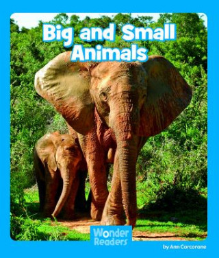 Book Big and Small Animals Ann Corcorane