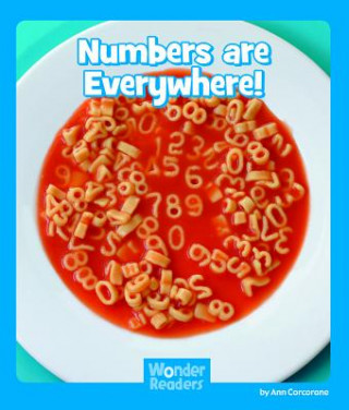 Livro Numbers Are Everywhere Ann Corcorane