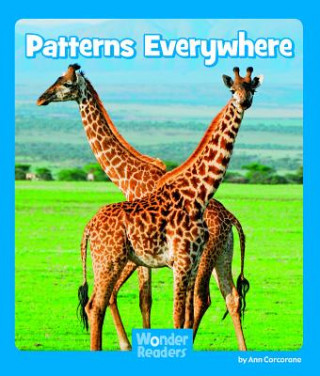 Книга Patterns Everywhere Ann Corcorane