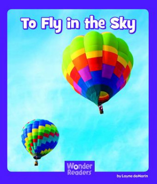 Book To Fly in the Sky Layne Demarin