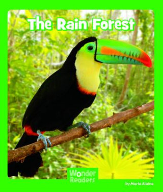 Buch The Rain Forest Maria Alaina
