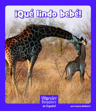 Book ?Qué Lindo Bebé! Layne Demarin
